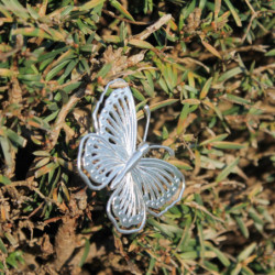 Papillon argenté avec chaîne en argent